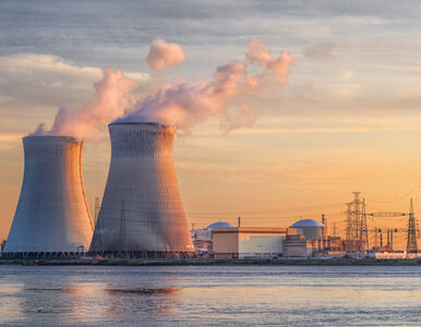 Elektrownie jądrowe w Polsce. Nieliczne grono przeciwników