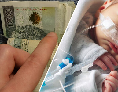 Miniatura: Polityk PiS chce zaradzić zapaści...