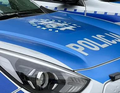 Miniatura: 11-latka postrzelona przez brata. Są...