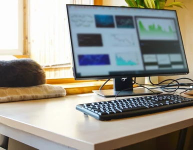 Miniatura: Kończy się era pracy zdalnej. „W biurze...