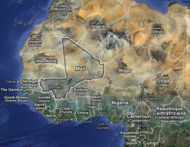 Miniatura: Francuzi prą naprzód, a Malijczycy za ich...