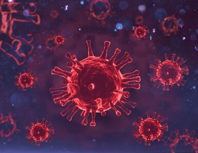 Ekspert: Ponad 90 procent Polaków ma odporność na koronawirusa