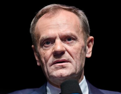 Miniatura: Tusk apeluje do polskich polityków i...