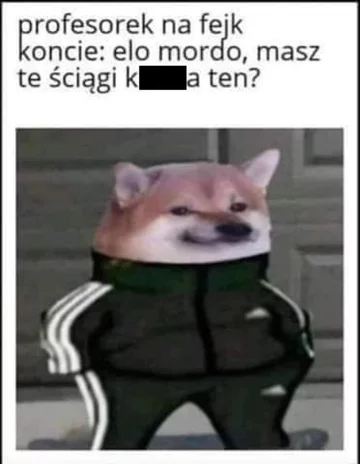 Mem z wykładowców włamujących się na grupki studenckie 