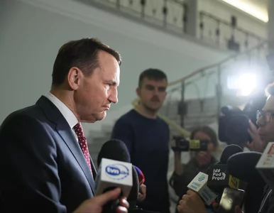 Miniatura: Radosław Sikorski uspokajał Niemców....