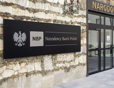 Miniatura: NBP: polskie firmy zadowolone, mogło być...
