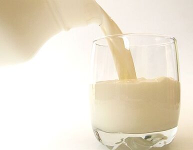 Miniatura: Białoruś zwiększyła import polskiego mleka