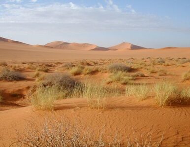 Miniatura: Przebiegli 500 km przez pustynię Namib