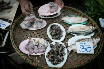 Targ żywych zwierząt Chatuchak w Tajlandii 