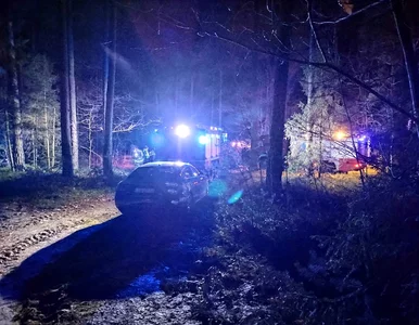 Miniatura: W lesie odkryto zwłoki 3-latki i jej ojca....