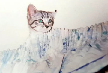 Phoebe jako mały kociak 