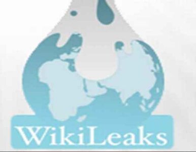 Miniatura: Informator WikiLeaks będzie rozmawiał z...