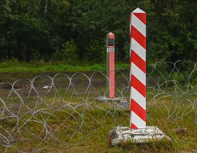 Miniatura: Migrantka urodziła dziecko tuż po...