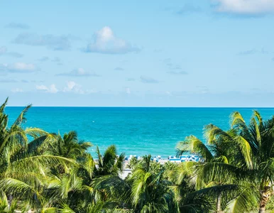 Miniatura: Miami oferuje więcej niż plaże i palmy....