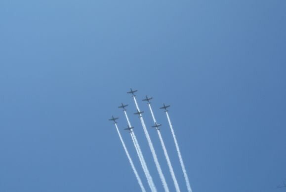 Samoloty szkolne PZL-130 Orlik (fot.Marcin Lis)