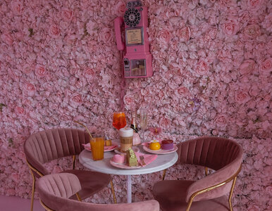 Miniatura: Do najdroższych bułek w Polsce są kolejki....