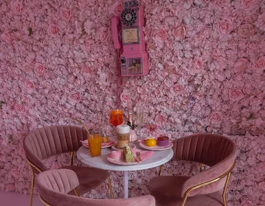 Miniatura: Do najdroższych bułek w Polsce są kolejki....