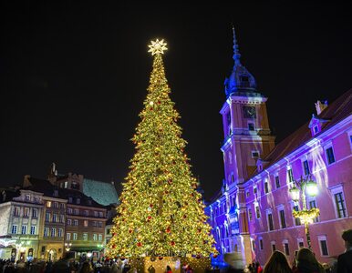 Miniatura: Warszawa gotowa na święta. Tak wygląda...