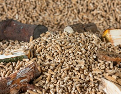 Miniatura: Pellet, który truje? Uważaj, co wrzucasz...