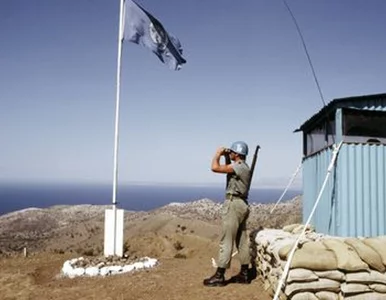 Miniatura: Prywatyzacja ONZ, czyli jak zbić kasę...