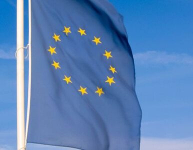 Miniatura: UE uznaje opozycję za legalną władzę Syrii