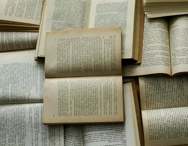Miniatura: QUIZ o bohaterach światowej literatury....