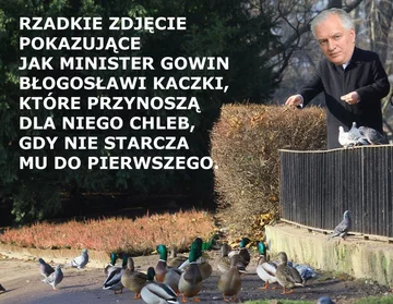 "Biedny jak Gowin" - mem po niefortunnej wypowiedzi wicepremiera 