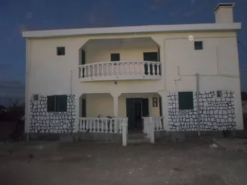 Żółwie promieniste uwięzione w mieszkaniu 