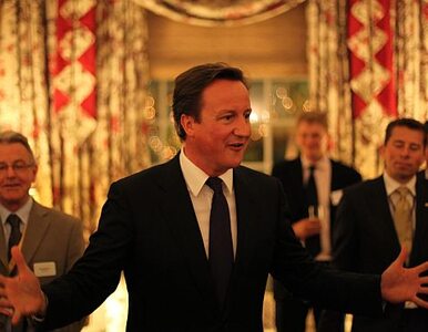 Miniatura: Cameron atakuje Unię: budują sobie...