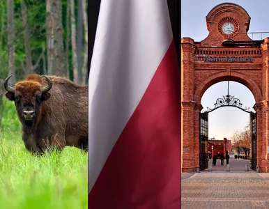 Miniatura: Ten QUIZ zdemaskuje twoją wiedzę o Polsce....