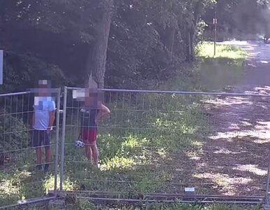 Miniatura: Turyści z Niemiec pojechali pod granicę....