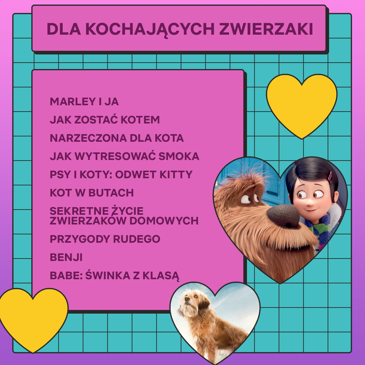 Dla kochających zwierzaki 