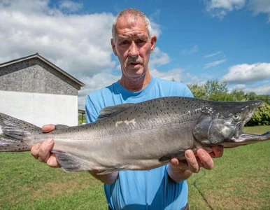 Miniatura: Wędkarz myślał, że złowił rekordowego...