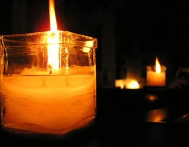 Miniatura: UŚ badał katowickie cmentarze