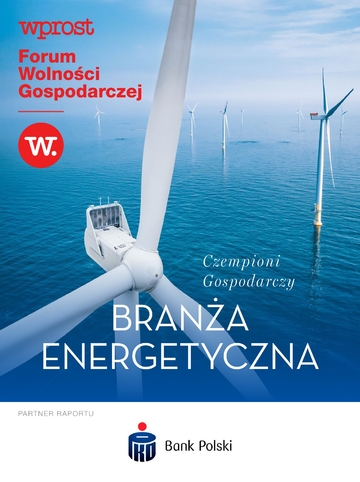 Czempioni Gospodarczy – branża energetyka