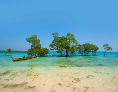 Miniatura: Nie wiedzą o epidemii COVID-19. Izolację i...