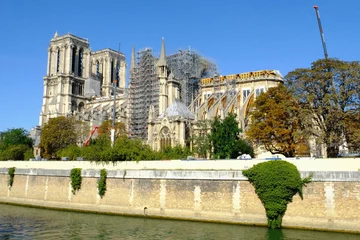 Katedra Notre Dame 