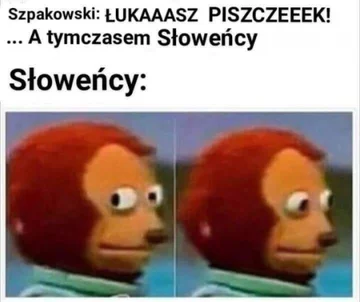 Mem po meczu Polski ze Słowenią 