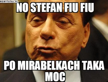 Mem o Stefanie Niesiołowskim 