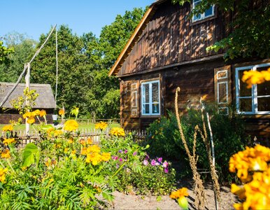 Miniatura: Zostawił w tyle Kraków. Turyści pokochali...