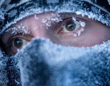 Miniatura: Krótkie ocieplenie i nagły zwrot. Nawet...