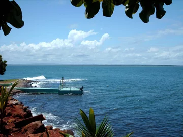 Iguana Island 