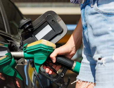 Miniatura: Duża rodzina? Masz prawo do tańszego...