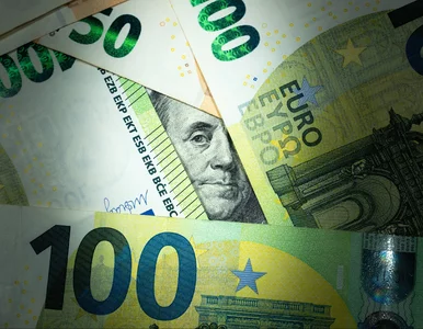 Miniatura: Tygodniowy przegląd kursów walut. Po ile...