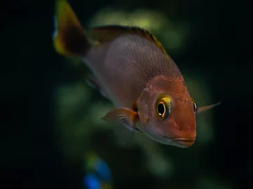 Oceanarium w łódzkim zoo 