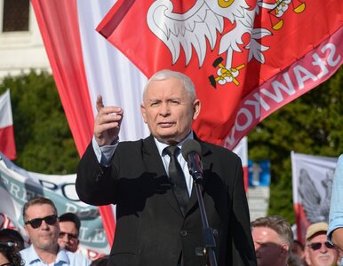 Miniatura: Kaczyński grzmi o „najeździe na Polskę”....