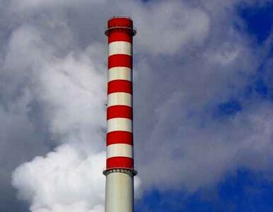 Miniatura: Polska poskarżyła się na limity CO2