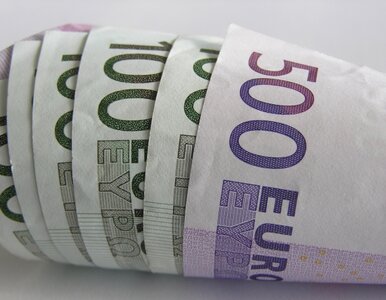 Miniatura: Senyszyn: za 7 lat będziemy w strefie euro