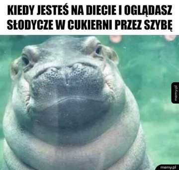 „Dietetyczne” memy 