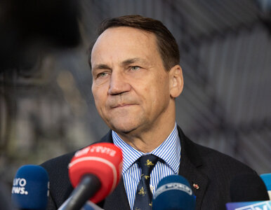 Miniatura: Echa ataku USA. Sikorski ironizuje,...